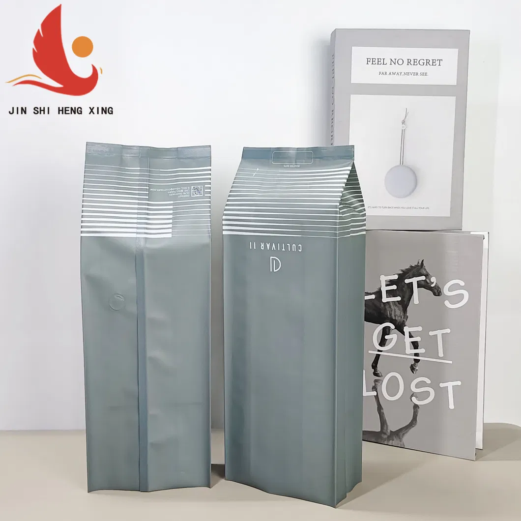 Bolsa de almacenamiento de acordeón gris versátil con válvula de aire integrada