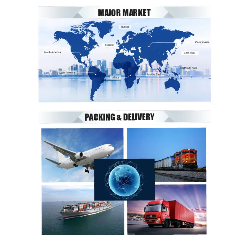 Carga de mercancías para envío marítimo