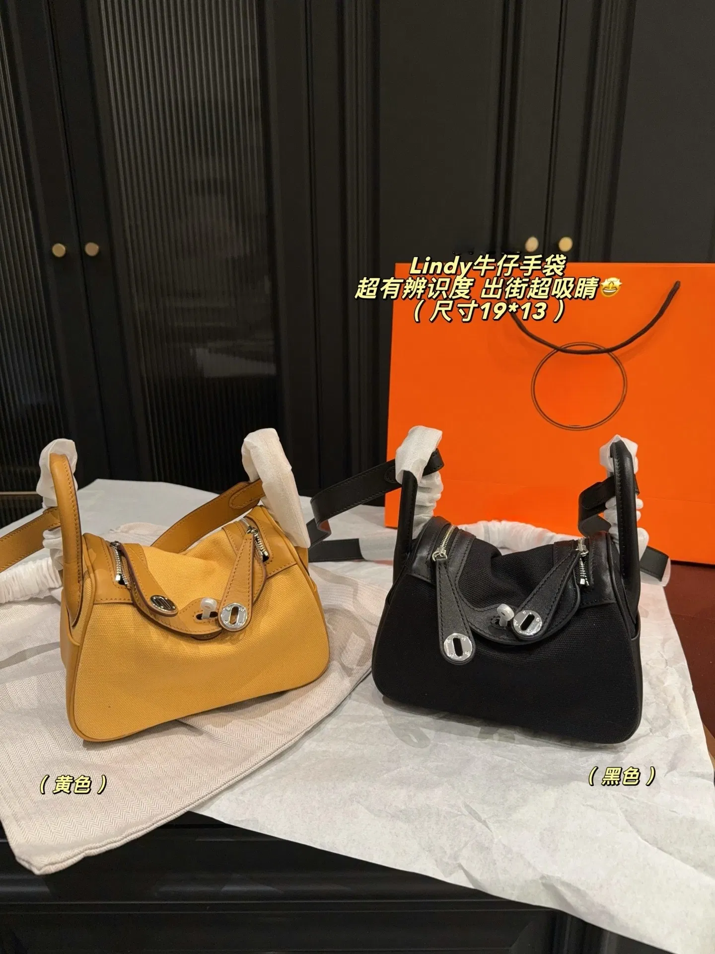 Bolso de mano mini Lindy de lujo en lona y cuero