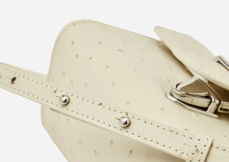 Nuevos bolsos de cuero de moda, bolso cuadrado pequeño y simple, bolso de hombro mensajero, patrón de avestruz, bolso de médico, bolso con hebilla de herradura