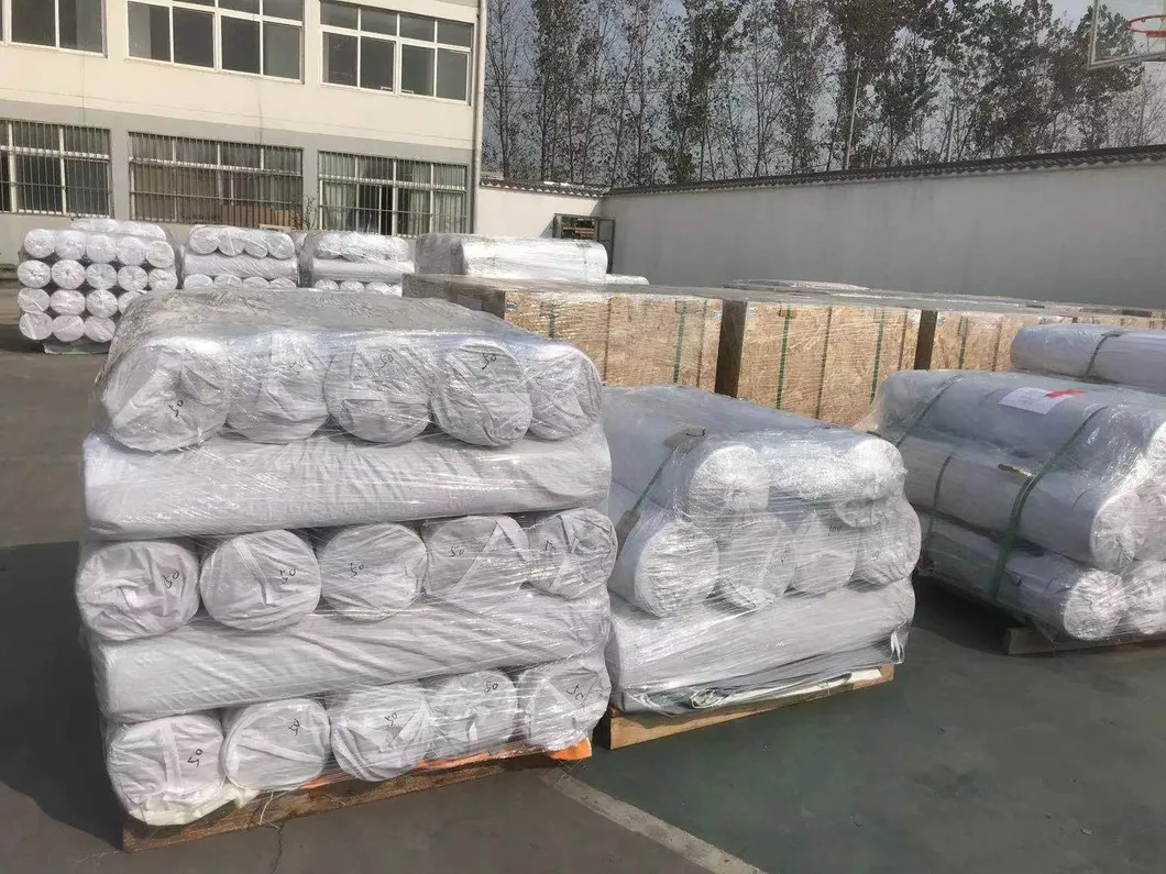 Bolsa de documentos a prueba de agua - Organizador de archivos ligero y expandible para la oficina, el transporte y los viajes en Singapur