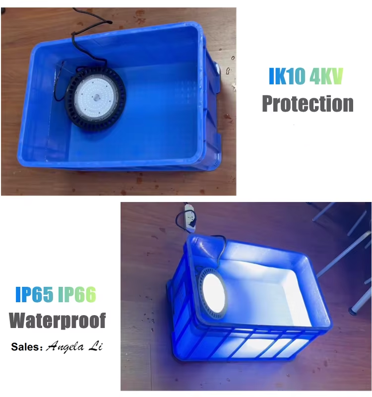Motion Sensor Module