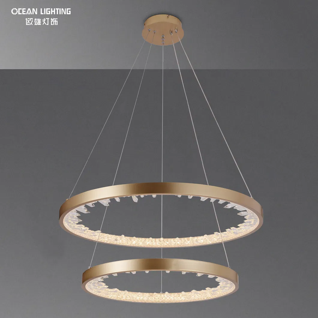 Modern Aluminum Iron Acrylic Pendant Light Indoor Decorative Pendant Lighting for Home Hotel