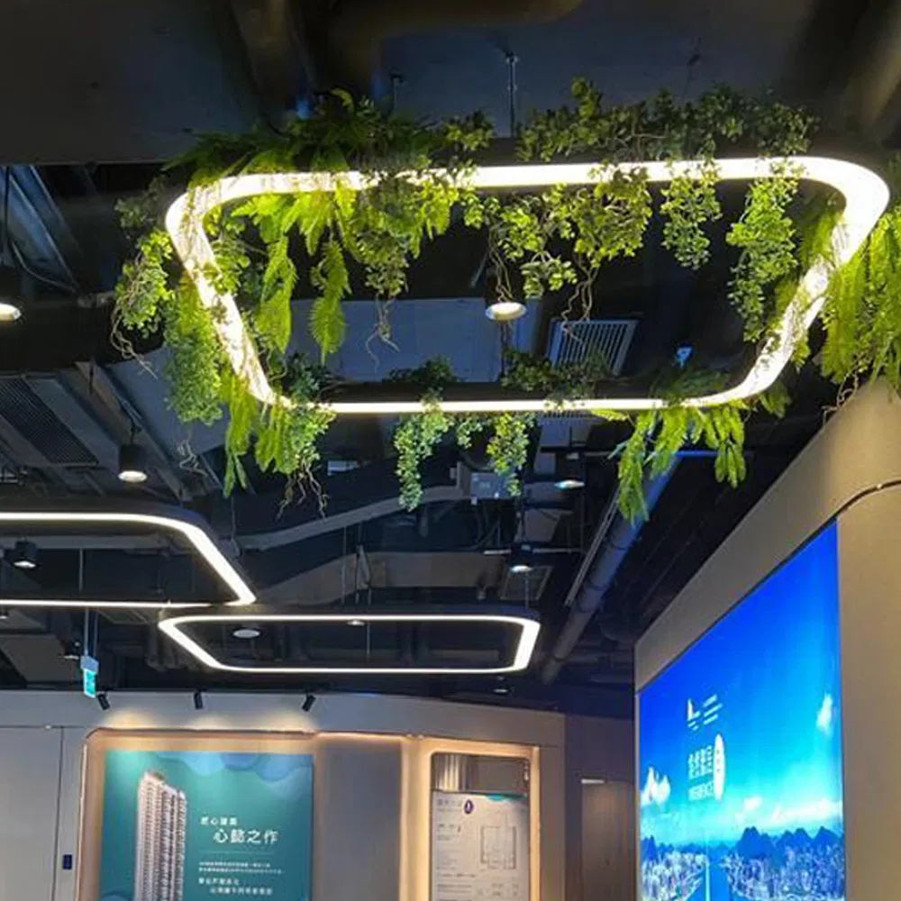 LED Linear Ring Lighting Shapes