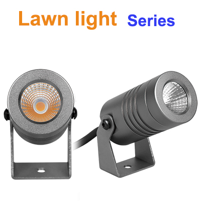 Related Product 9