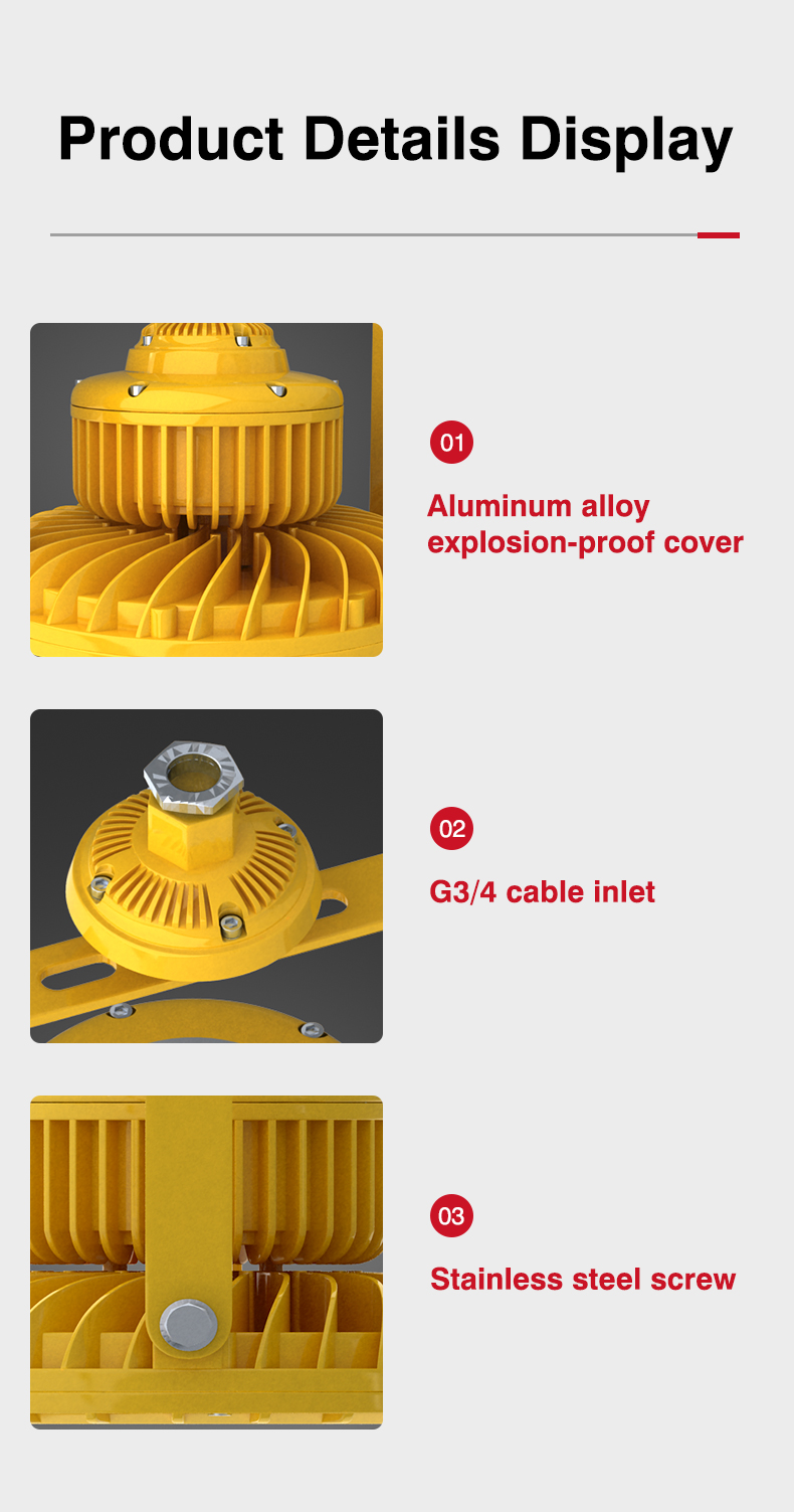 Product Details 4