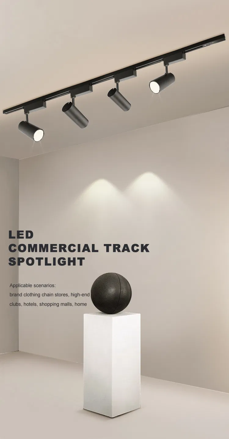 LED Track Lighting 30W COB Spotlight Ceiling Light for Museum Exhibition (LC2330L)