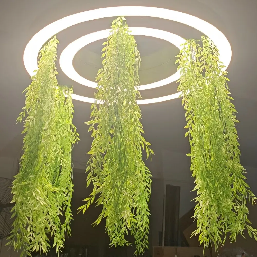 LED Ring Light Styling Options