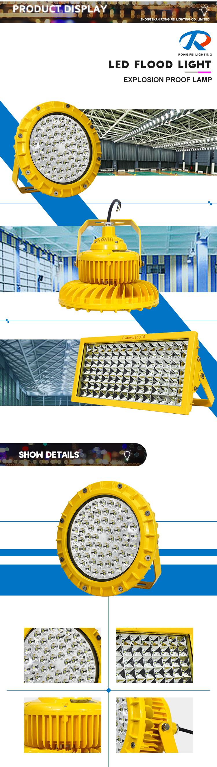 Explosion Proof Lighting Details