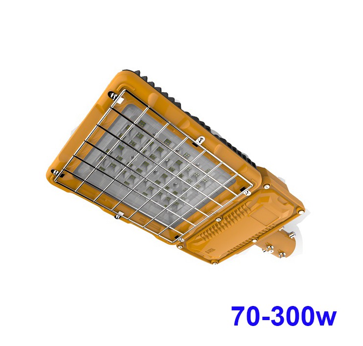 Explosion proof Street light