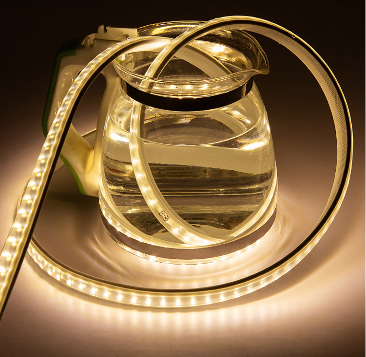 50meters 100Meters Roll High Bright SMD5730 Led Strip Light Waterproof 110V Strip Light 120v 220V Smart Flexible Light