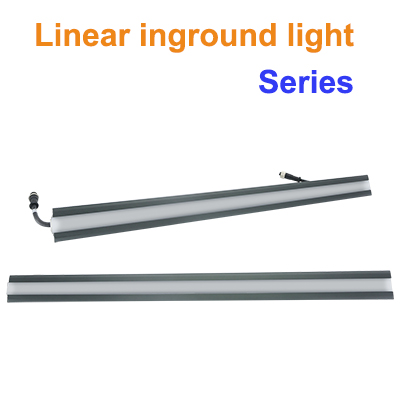 Related Product 12