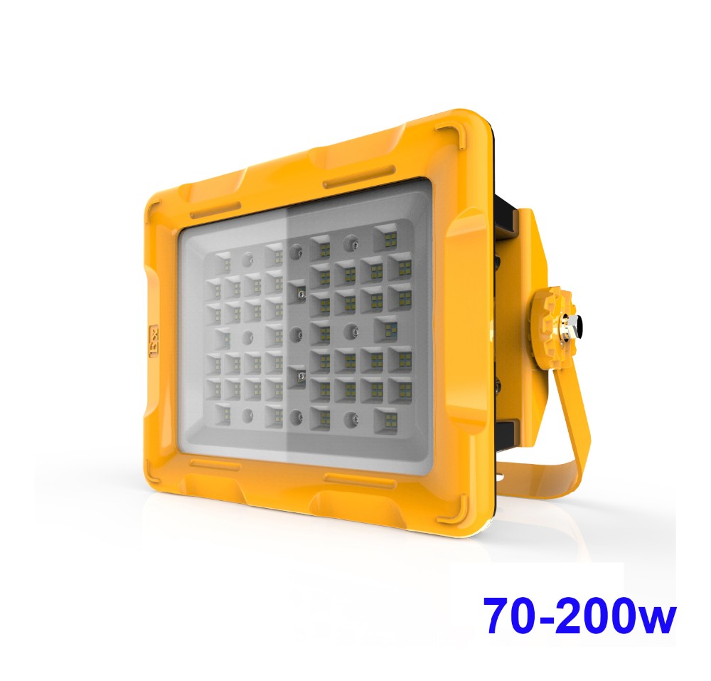 Explosion proof Flood light