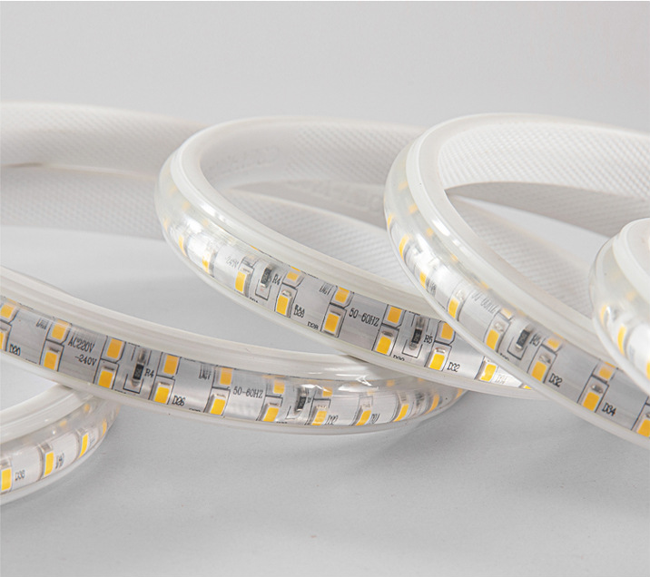 50meters 100Meters Roll High Bright SMD5730 Led Strip Light Waterproof 110V Strip Light 120v 220V Smart Flexible Light