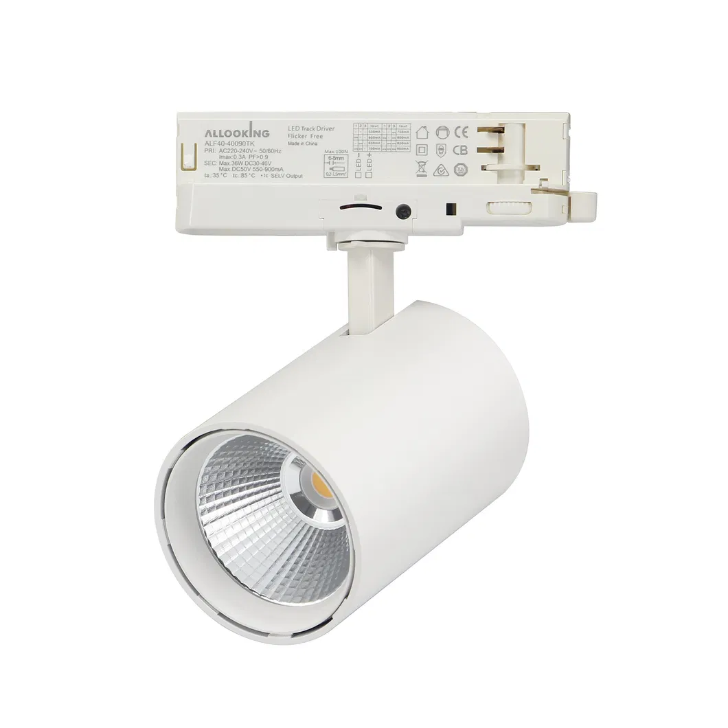 Aluminum Retail Track Lighting 10W 20W 30W 35W COB Tracklight LED Track Spot Light