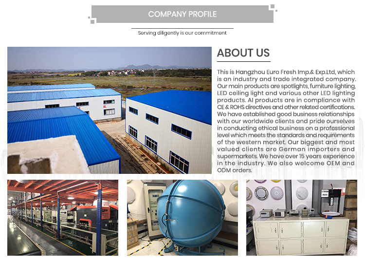 Company Profile Overview