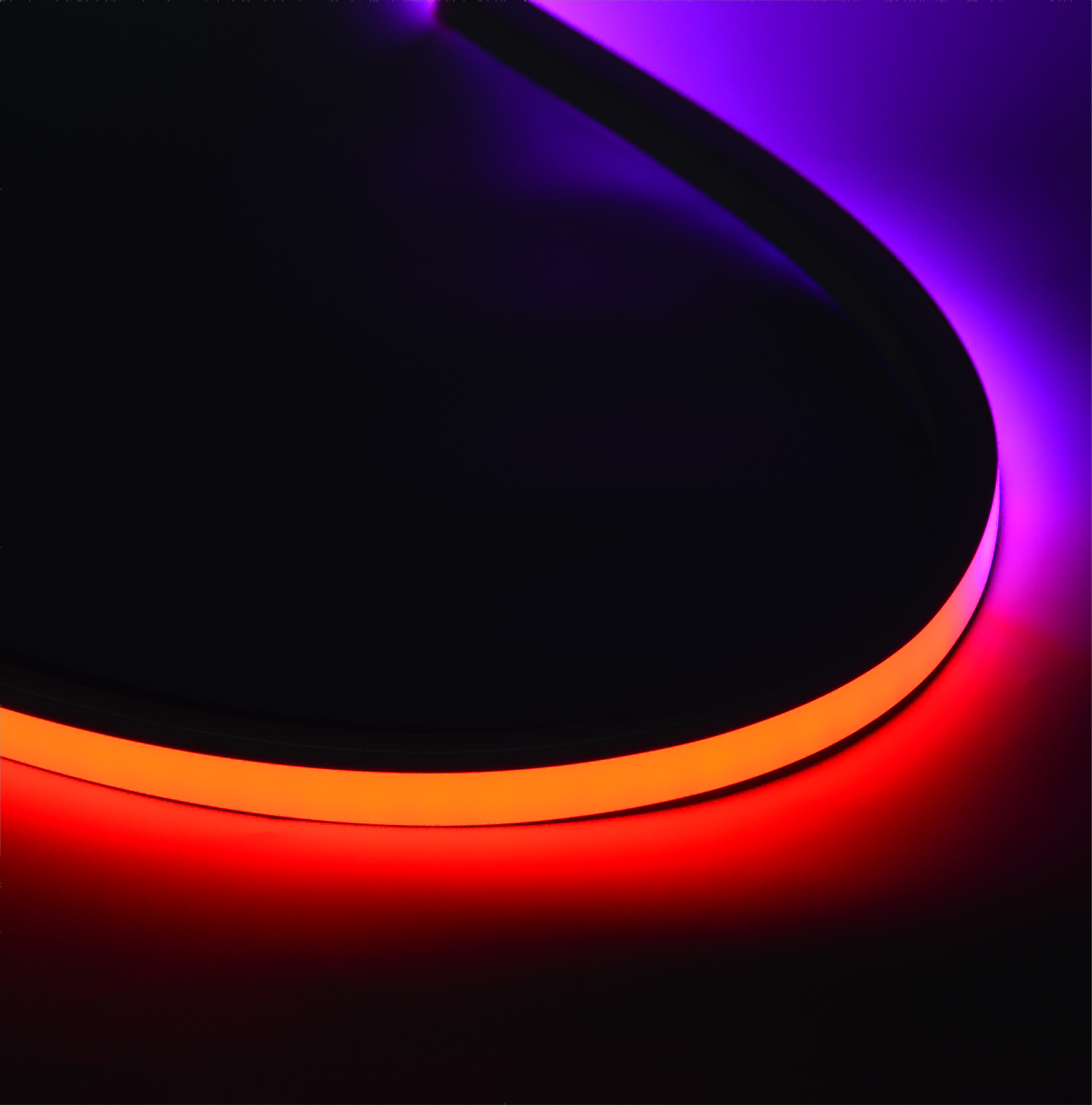 Customization 2020 3020 1616 5020 Rgbic Led Neon Strip Lights