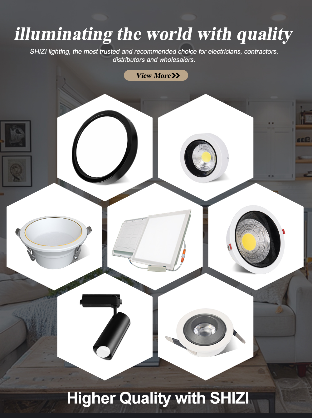 LED Work Solar Light