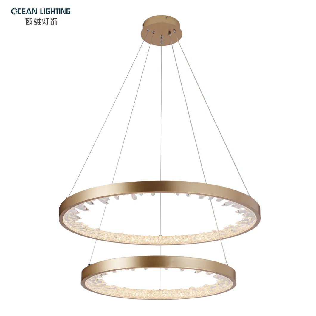 Modern Aluminum Iron Acrylic Pendant Light Indoor Decorative Pendant Lighting for Home Hotel