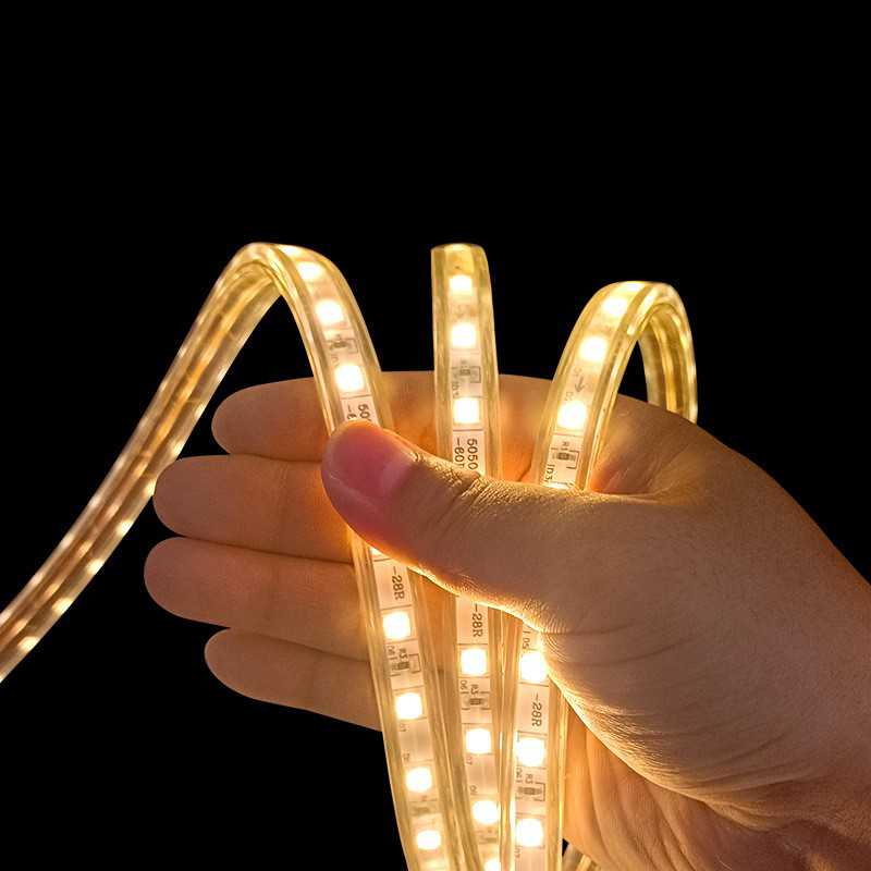Wholesale of 5050 2835 High-voltage 220v Waterproof Soft LED Strip With Colorful RGB Monochrome Outdoor Engineering Linear Light