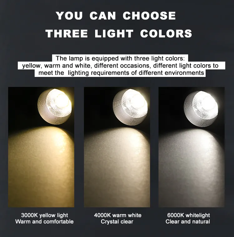 LED Track Lighting 30W COB Spotlight Ceiling Light for Museum Exhibition (LC2330L)