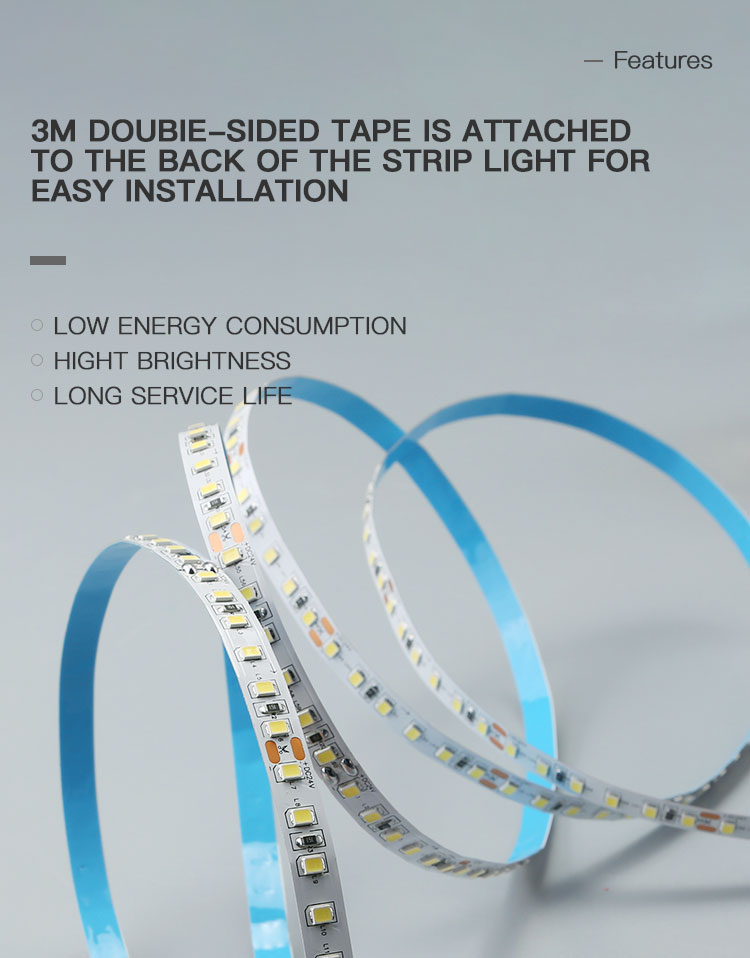 Low Price Good Quality Office Led 2835 Strip 24v 10 Meter IP20 120leds/pcs 6000K Ra80 Led Strip Light