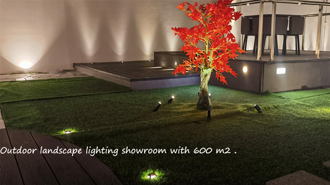 Showroom VR View
