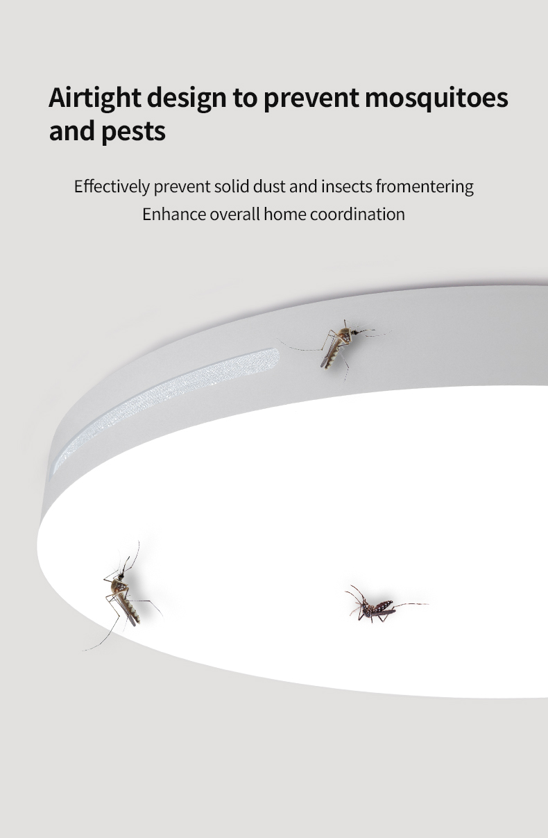 Product Description Image
