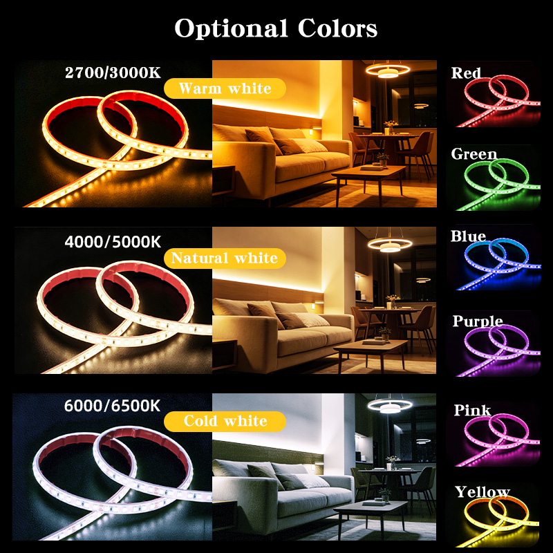 RoHS,CE LED Strip Light 12V 24V Waterproof 2700K,3000K,4000K,6500K Light String 10mm IP67 for Garden,Home,Mall,Outdoor Project