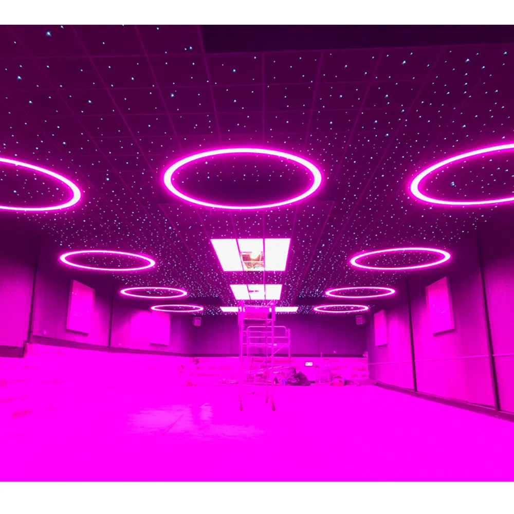 Profile Curved RGB Colorful Circular LED Chandelier Pendant Light
