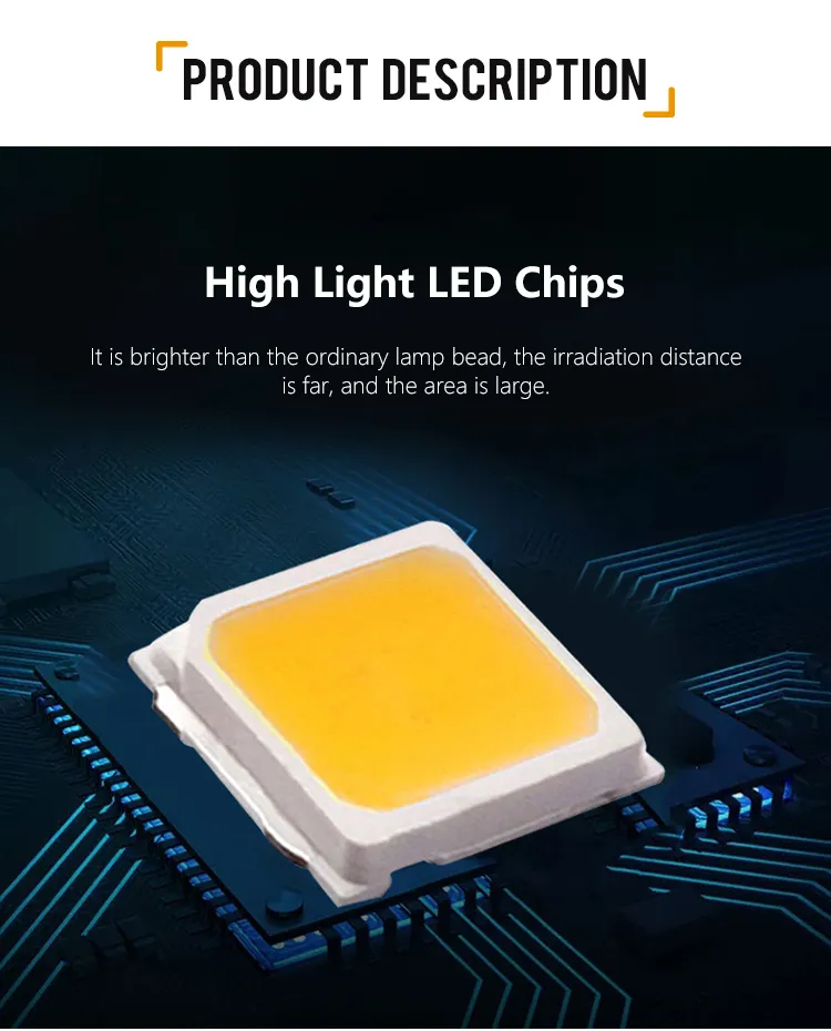 IP65 DMX512 Light