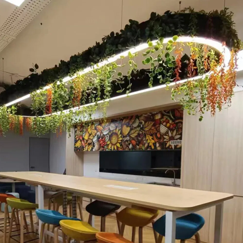 Design Options for Ring LED