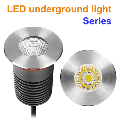 Related Product 5