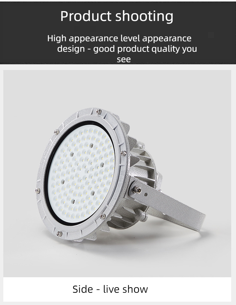 LED Light Detail 1