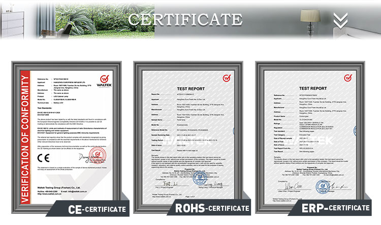Certificate 1