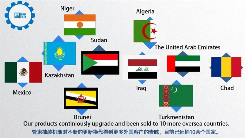 Oversea Market Distribution