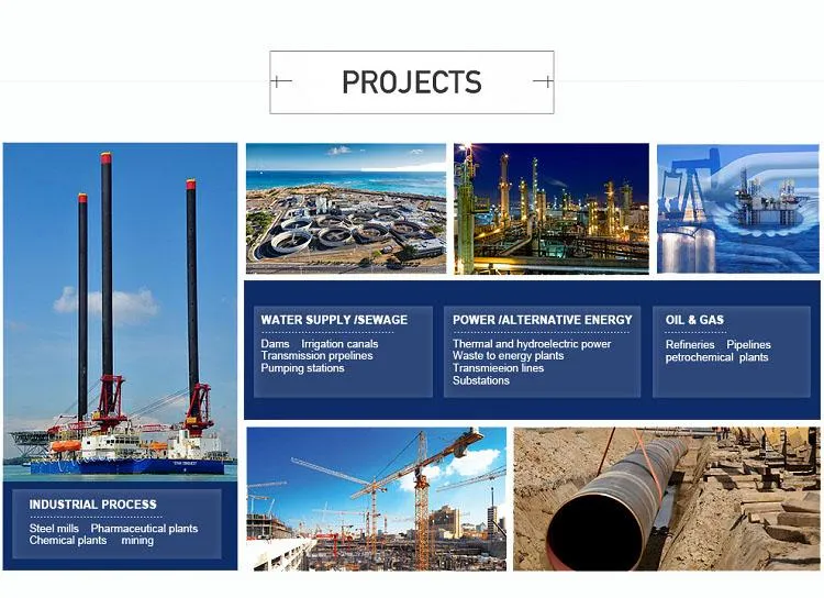 Global Projects