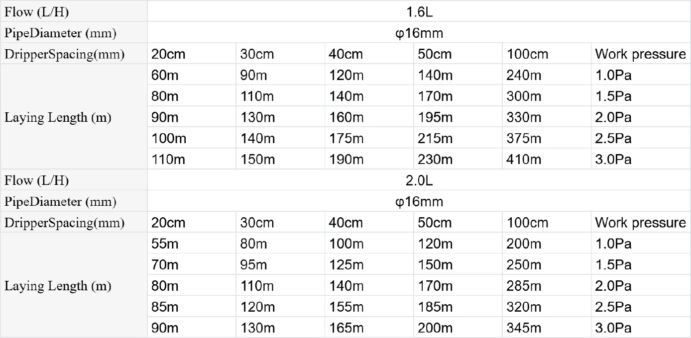 Irrigation System Layout