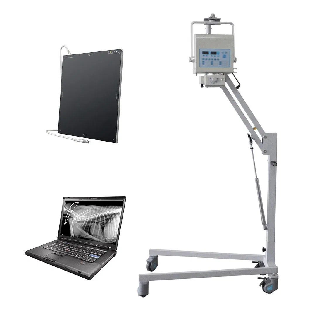 Veterinary Medical High Frequency X Ray Radiography Car Portable Diagnostic Equipment