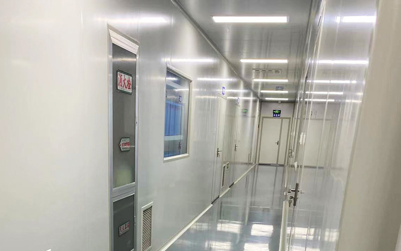 Hangzhou Pipmed Medical Co., Ltd. manufacturing facility and production line