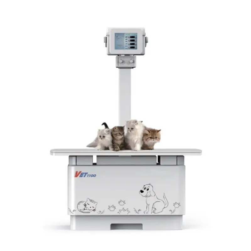 Vet Digital Radiography System Veterinary X-ray Equipment Medical Animal X Ray Equipment