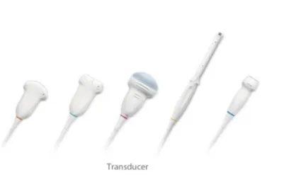 Transducer Family