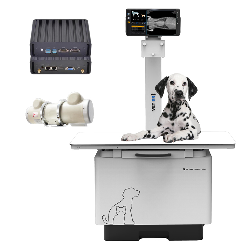in-32kw-P Veterinary Digital X-ray Machine Dr Imaging System Professional Use for Animal