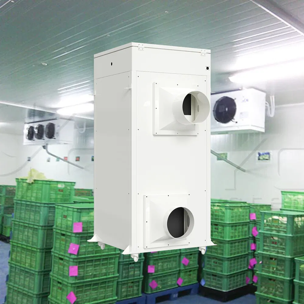 Pipe-Array Non-Frosting Coffee Cherry Fermentation Rooms Solution with Multi-Spectral Imaging