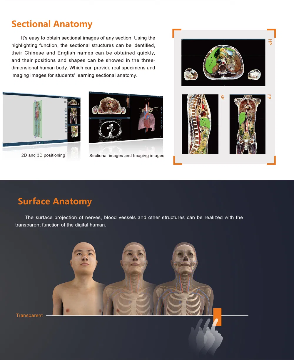 Digital Human Anatomy System 4