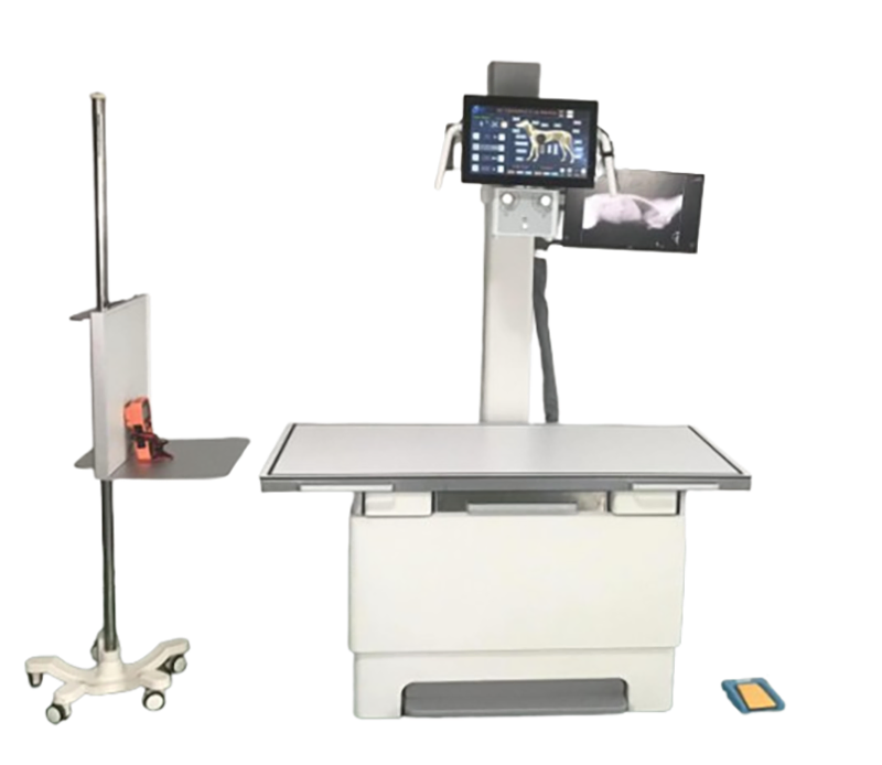 Advanced Veterinary X-ray Imaging System for Accurate Diagnoses