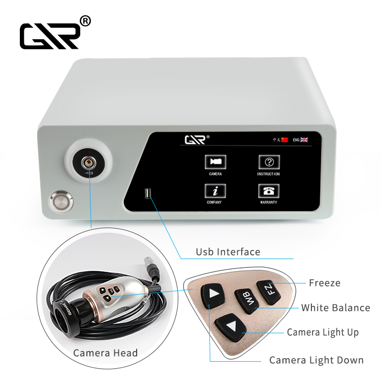 Advanced Endoscopic Solutions for Medical Clinics and Professionals