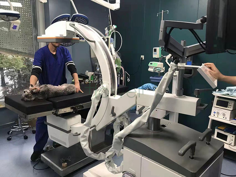 Mobile Veterinary C-Arm Imaging C-Arm X-ray Fluoroscopy System Pet Radiography System