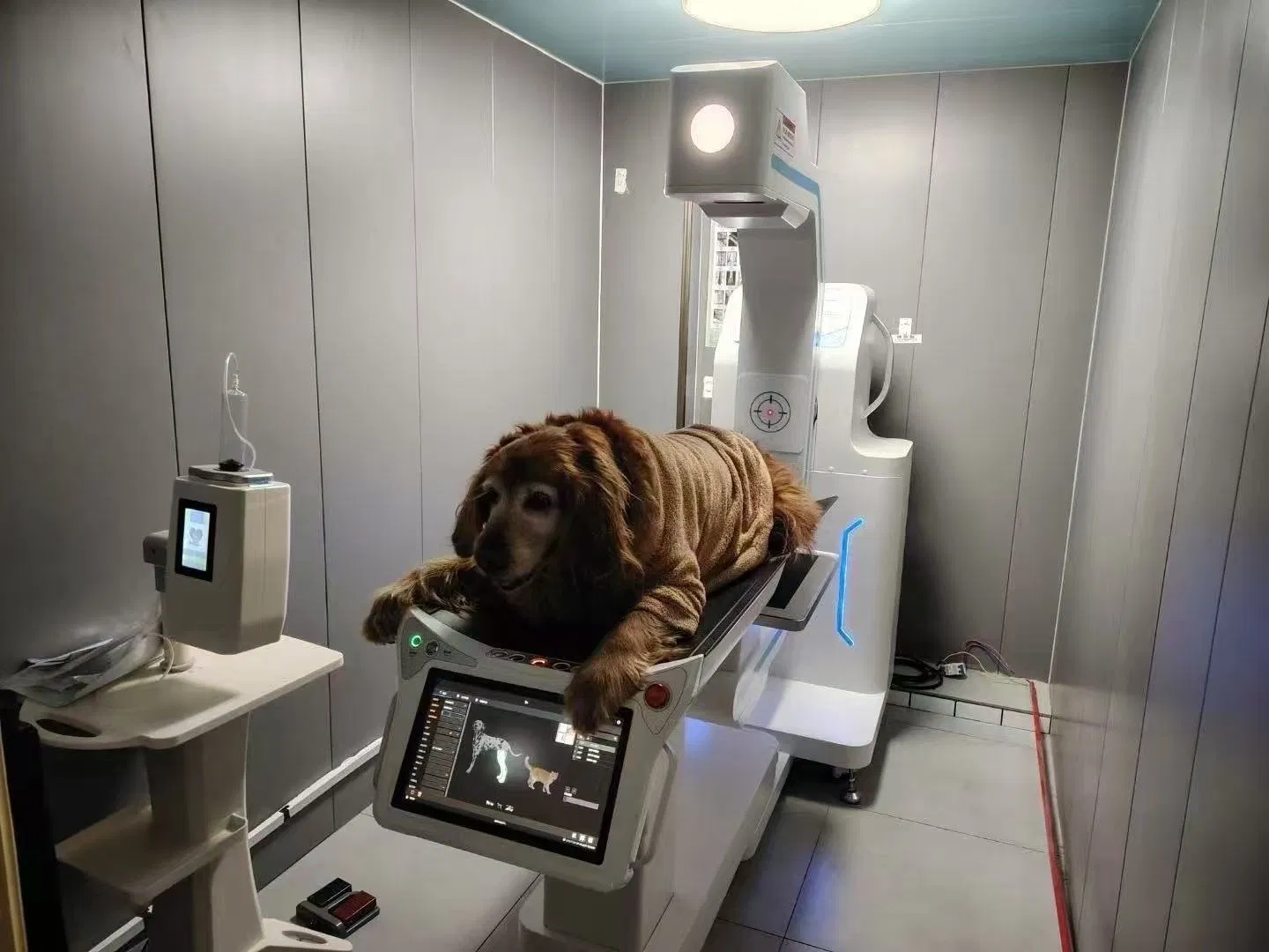 Veterinary CT Scan Machine X-ray Equipment for Animal Hospital Clinic Medical Diagnosis