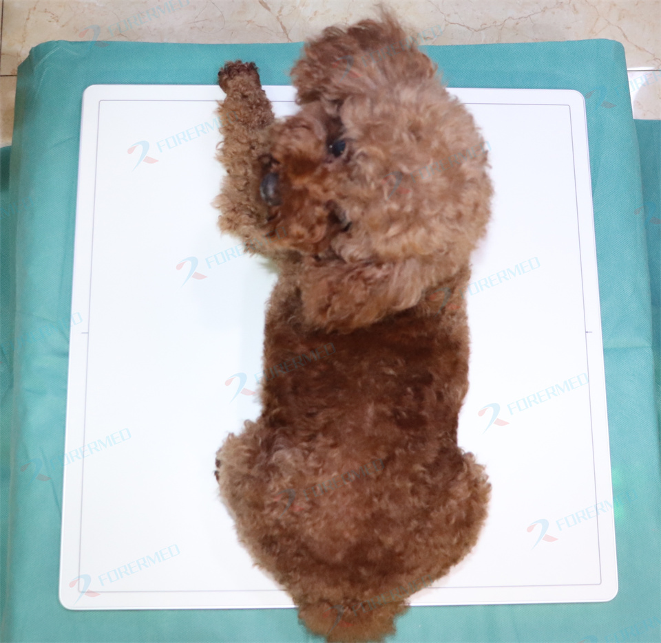 High-Quality Veterinary Wireless Flat Panel Detector Portable Veterinary Imaging Equipment Fpd Flat Panel X-ray Detector